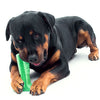 Dog Dental Care Toothbrush-bristly k-9 teeth cleaner stick-The Exceptional Store