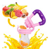 Healthy Baby Pacifier-nibbler teething baby fresh fruit binky BPA free-The Exceptional Store