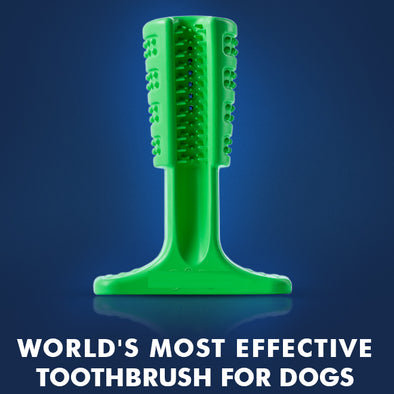 Dog Dental Care Toothbrush-bristly k-9 teeth cleaner stick-The Exceptional Store
