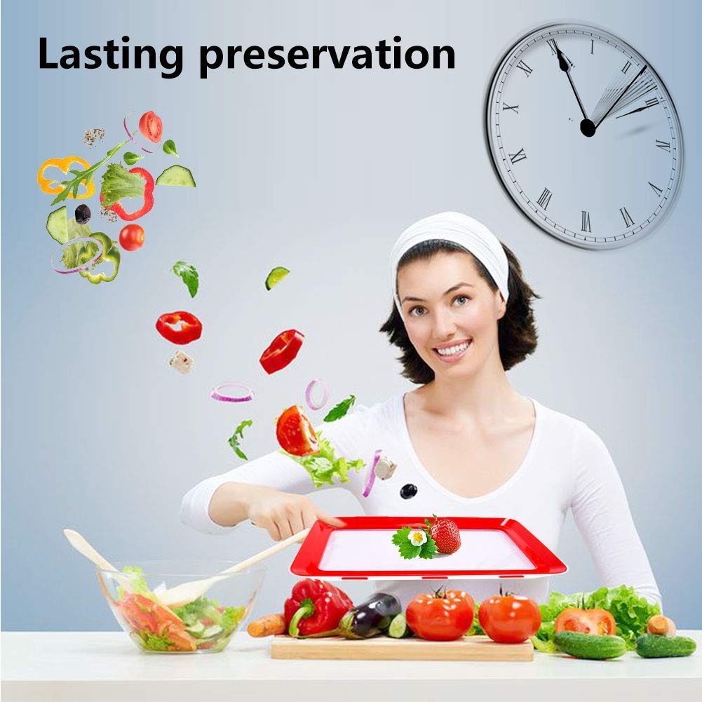 Reusable Food Preservation Trays-meal prep-The Exceptional Store