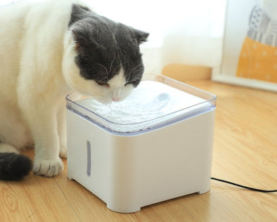 Dog And Cat Pet Water Fountain-water bowl-The Exceptional Store