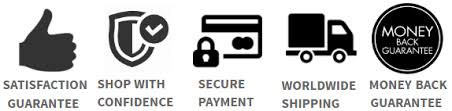 payments securely processed